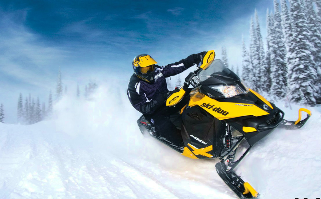 追加診断ソフトでスノーモービル【SKI-DOO】の故障診断も可能。